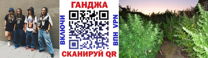 Шишки марихуана конопля Кочубеевское